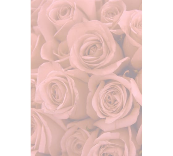 Дизайнерская бумага Attache А4 50 шт в упаковке розы md4 1412174 1