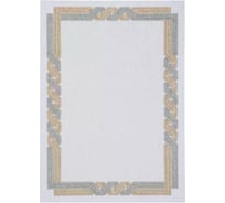 Сертификат-бумага Attache А4 50 шт в упаковке коричневая крученая рамка id2 1412164