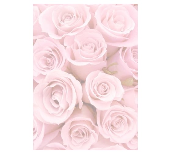 Дизайнерская бумага Attache А4 50 шт в упаковке ковер из роз md5 1412175 1