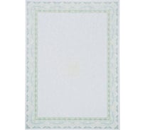 Сертификат-бумага Attache А4 50 шт в упаковке зеленая рамка спираль id6 1412169