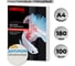 Обложки для переплета пластиковые прозр. А4,180мкм Комус 100шт/уп 254630 1