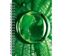 Книга для записей listoff БК680286