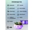 Пластик для принтера CACTUS 3D CS-3D-PETG-1KG-T-PURPLE PETG, диаметр 1.75 мм, 1 кг, 1 цв. 1974193 3