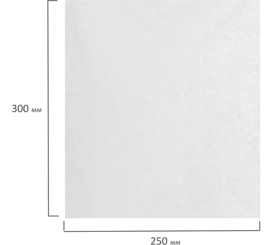 Одноразовые нестерильные салфетки ЧИСТОВЬЕ комплект 100 шт, 25x30 см, спанлейс, 40 г/кв.м, белые 00-146 630230