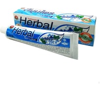 Зубная паста TWIN LOTUS HERBAL с травами свежесть и прохлада 40 г 4059