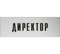 Информационная табличка на дверь GRM прямоугольная «Директор» д3 300x100 мм 218000115-3