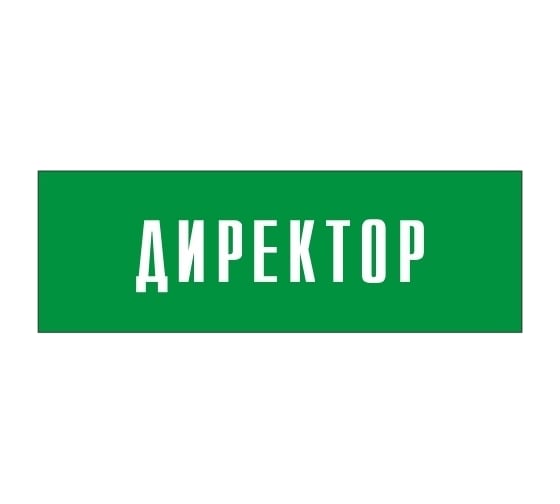 Информационная табличка на дверь GRM прямоугольная «Директор» д3 300x100 мм 218000115-3