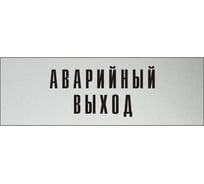 Информационная табличка на дверь GRM прямоугольная «Аварийный выход» д102 300x100 мм 218000115-102
