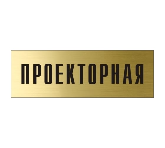 Информационная табличка на дверь GRM прямоугольная «Проекторная» д46 300x100 мм 218000115-46