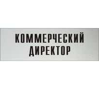 Информационная табличка на дверь GRM прямоугольная «Коммерческий директор» д4 300x100 мм 218000115-4