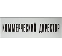 Информационная табличка на дверь GRM прямоугольная «Коммерческий директор» д5 300x100 мм 218000115-5