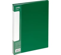 Папка СТАММ со 100 вкладышами, Стандарт А4, 30 мм, 800 мкм, пластик, зеленый ММ-30635