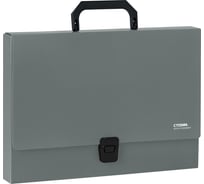 Папка-портфель СТАММ 1 отделение, Стандарт А4, 1000 мкм, на замке, пластик ММ-30896