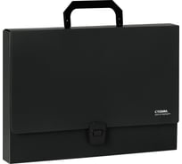 Папка-портфель СТАММ 1 отделение, Стандарт А4, 1000 мкм, на замке, пластик ММ-30898