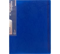 Папка с файлами-вкладышами Expert Complete Premier 6 шт., по 40 л, A4, 40 мкм, 600 мкм, 20 мм, волокно, синий new 722200