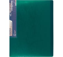 Папка с файлами-вкладышами Expert Complete Premier 6 шт., по 10 л, A4, 40 мкм, 600 мкм, 20 мм, волокно, зеленый new 722184