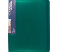 Папка с файлами-вкладышами Expert Complete Premier 4 шт., 80 л, A4, 40 мкм, 700 мкм, 25 мм, волокно, зеленый new 722207