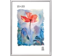 Алюминиевая фоторамка Зебра PS_А_15х20 X8664264