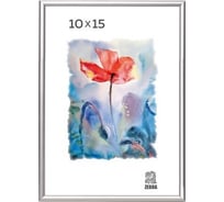 Алюминиевая фоторамка Зебра PS_А_10х15 X8667532