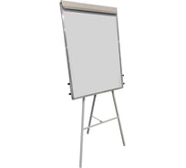 Магнитно-маркерный флипчарт Комус 100x70 см, на треноге, регулируемая высота, серый 1843413