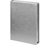 Недатированный ежедневник Attache Selection metal а5, 160 л., серебро 1784319