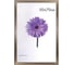 Рамка ОФИСМАГ премиум 50x70 см, пластик, багет 33 мм, Dorothy, серебро 0023-50-3330 390735 1