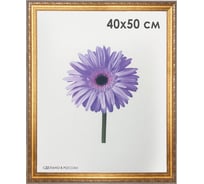Рамка ОФИСМАГ премиум 40x50 см, пластик, багет 33 мм, Dorothy, золото 0023-16-4274 390738