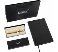 Перьевая ручка и недатированный ежедневник GALANT Versus, корпус золотистый, А5, черный 880906