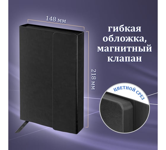 Перьевая ручка и недатированный ежедневник GALANT Versus, корпус золотистый, А5, черный 880906
