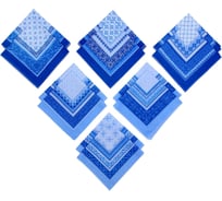 Платки носовые Этель мужские, 30х30 см, набор 12 шт, Синий, рис. микс, 100% хлопок 1696469