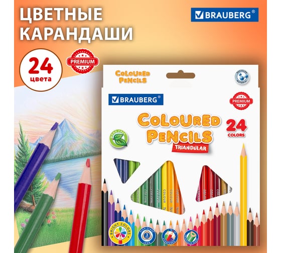 Карандаши цветные BRAUBERG трехгранные, 24 ярких цвета, Premium, комплект 880544