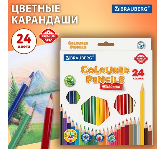 Карандаши цветные BRAUBERG классические, 24 ярких цвета, Premium, комплект 880547