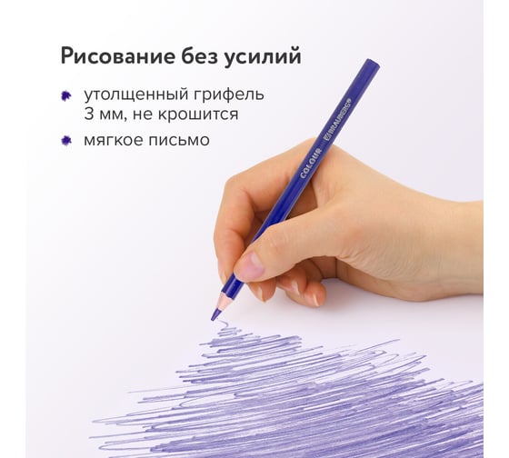 Карандаши цветные BRAUBERG классические, 24 ярких цвета, Premium, комплект 880547