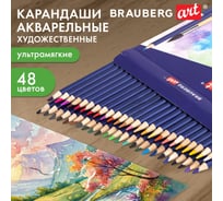 Карандаши акварельные цветные BRAUBERG художественные 48 ярких цветов, Art, комплект 880554