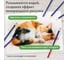Карандаши акварельные цветные BRAUBERG художественные 48 ярких цветов, Art, комплект 880554 2