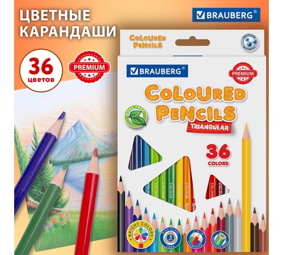 Карандаши цветные BRAUBERG трехгранные, 36 ярких цветов, Premium, комплект 880545