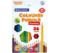 Карандаши цветные BRAUBERG классические, 36 ярких цветов, Premium, комплект 880548
