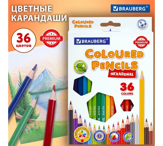 Карандаши цветные BRAUBERG классические, 36 ярких цветов, Premium, комплект 880548