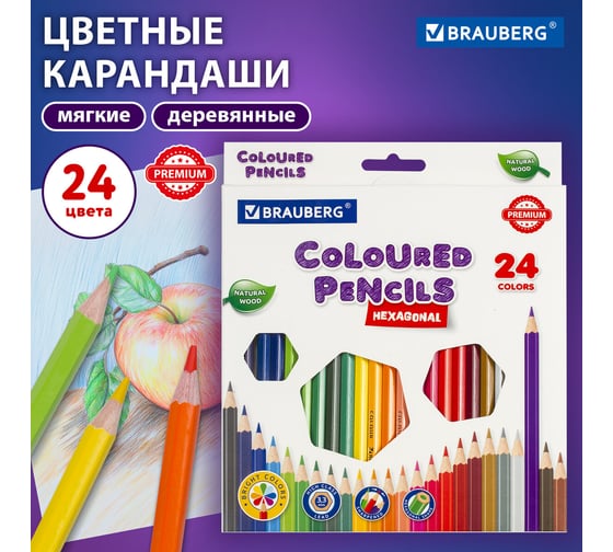 Карандаши цветные BRAUBERG классические, 24 ярких цвета, Premium, комплект 880541