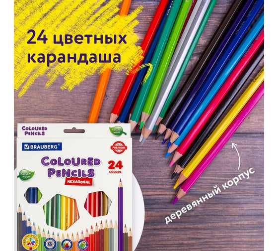 Карандаши цветные BRAUBERG классические, 24 ярких цвета, Premium, комплект 880541