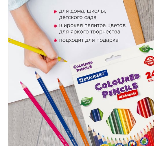 Карандаши цветные BRAUBERG классические, 24 ярких цвета, Premium, комплект 880541