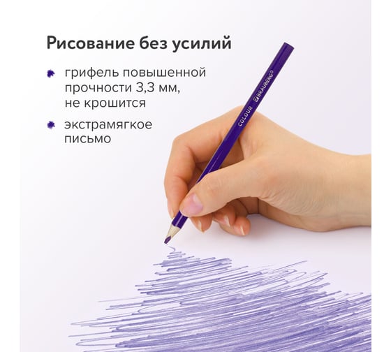 Карандаши цветные BRAUBERG классические, 24 ярких цвета, Premium, комплект 880541