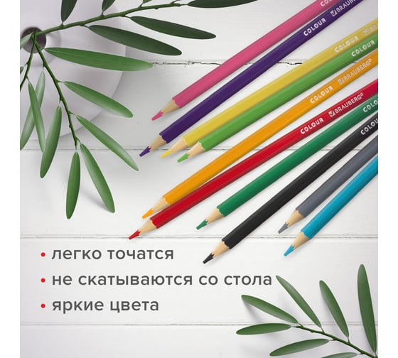 Карандаши цветные BRAUBERG мягкие Академия 24 цвета, шестигранные, грифель 3 мм 880783