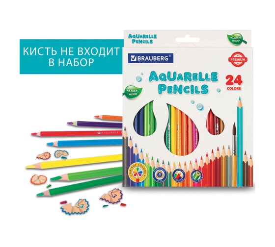 Карандаши акварельные цветные BRAUBERG 24 ярких цвета, Premium, комплект 880550