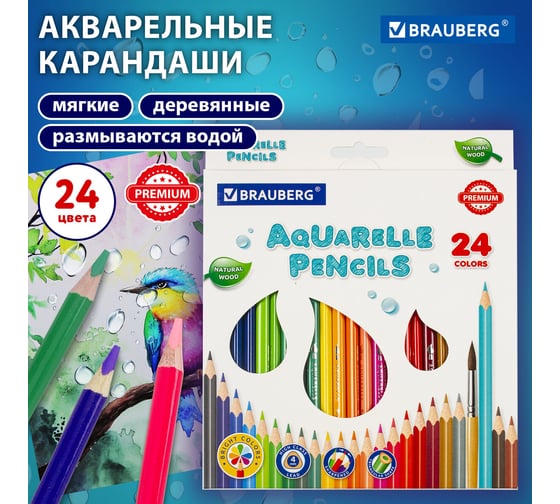 Карандаши акварельные цветные BRAUBERG 24 ярких цвета, Premium, комплект 880550