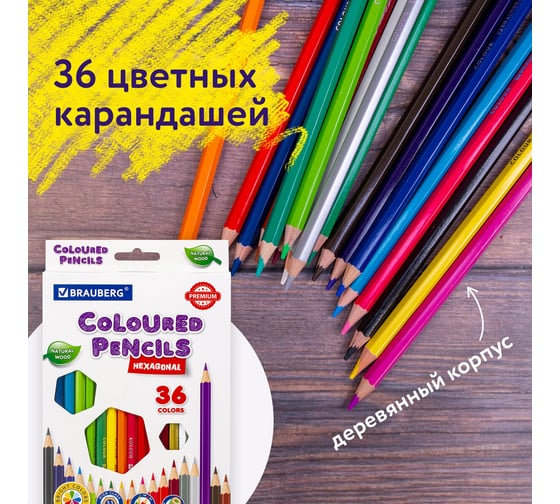 Карандаши цветные BRAUBERG классические, 36 ярких цветов, Premium, комплект 880542