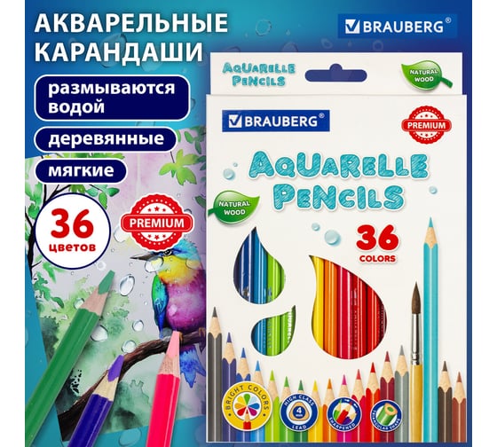 Карандаши акварельные цветные BRAUBERG 36 ярких цветов, Premium, комплект 880551