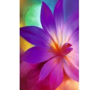 Книга для записей listoff КЗ6644122