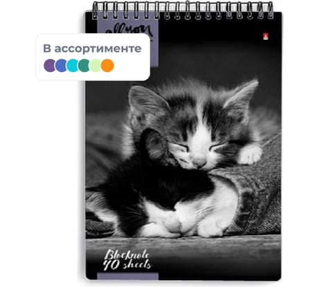 Блокнот Альт КОШКИ, А5, 40л, на гребне, в ассортименте 389629