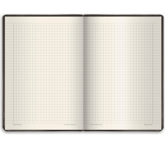 Блокнот BRAUBERG Income большой формат, 200x252 мм, А4, 128 л, гладкий кожзаменитель, клетка 125204
